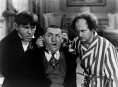 imagen Regresan los «Tres Chiflados»