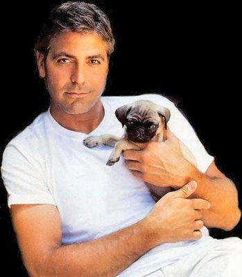 george-clooney-ha-tenido-el-corazon-con-agujeritos