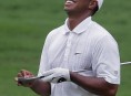 imagen Tiger Woods y sus problemas hacen perder millones a la Bolsa