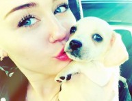 imagen Miley Cyrus tiene nueva mascota