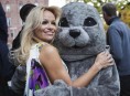 imagen Pamela Anderson apoya a PETA